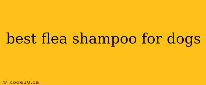 best flea shampoo for dogs