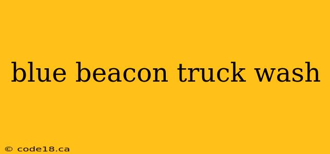 blue beacon truck wash