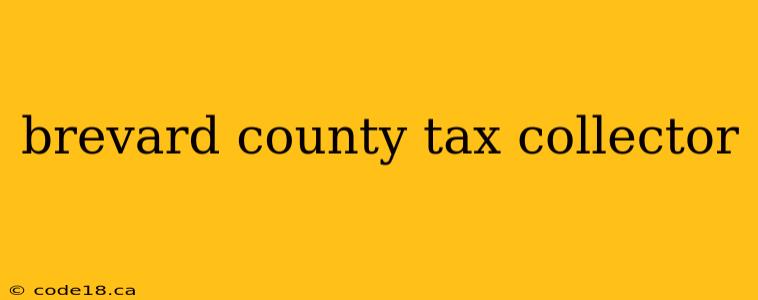 brevard county tax collector