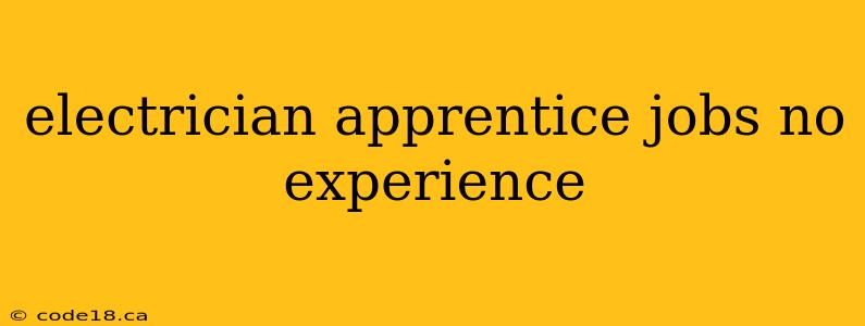 electrician apprentice jobs no experience