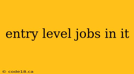 entry level jobs in it