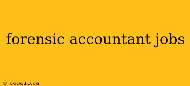 forensic accountant jobs