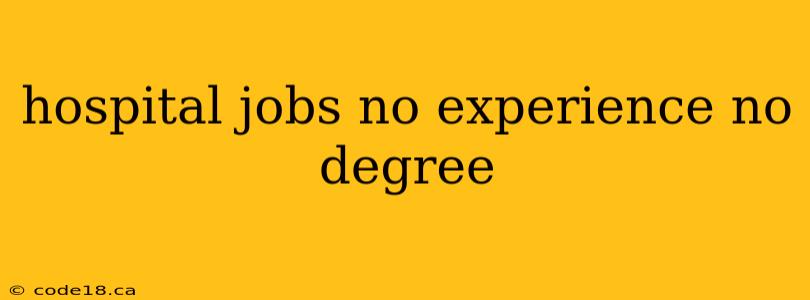 hospital jobs no experience no degree