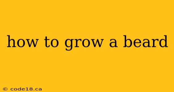 how to grow a beard