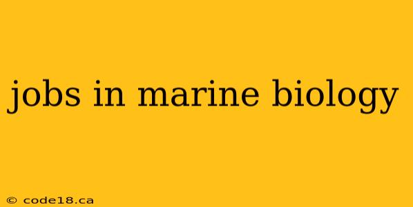 jobs in marine biology