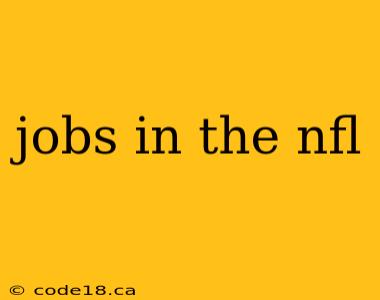 jobs in the nfl