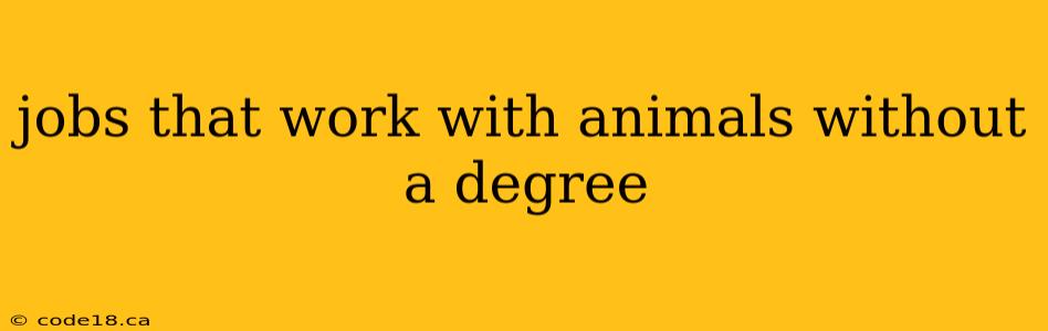 jobs that work with animals without a degree