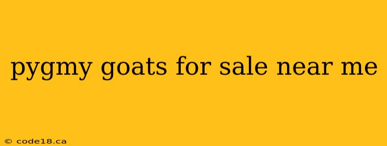 pygmy goats for sale near me