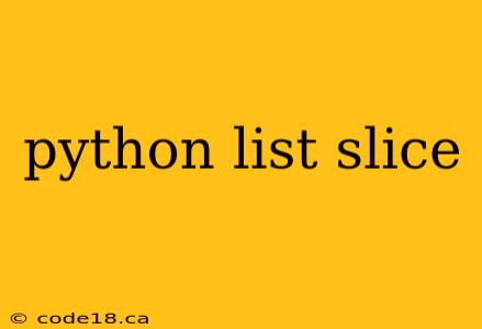 python list slice