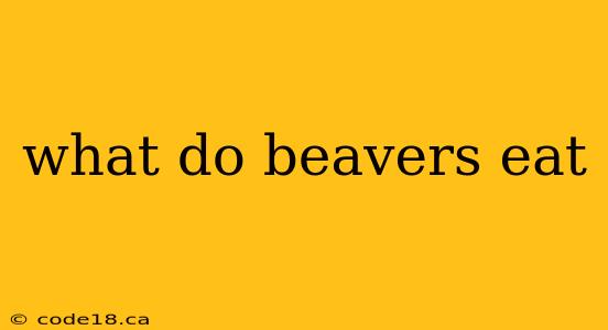 what do beavers eat