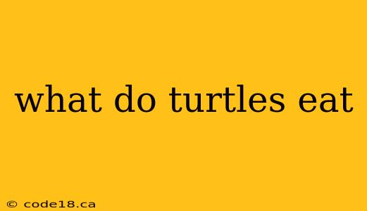 what do turtles eat