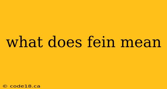 what does fein mean