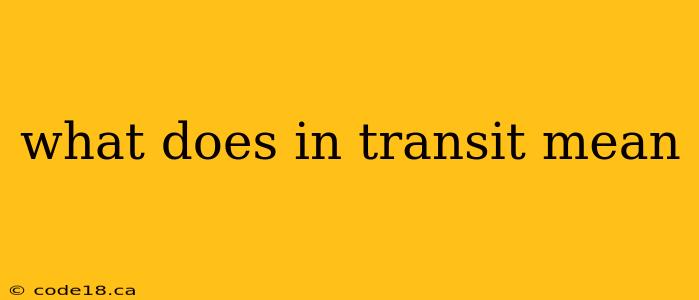 what does in transit mean