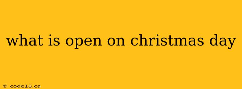 what is open on christmas day