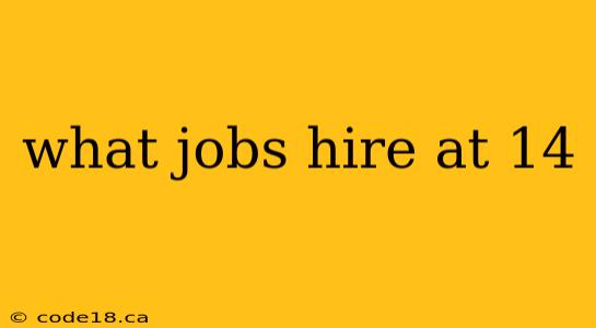 what jobs hire at 14