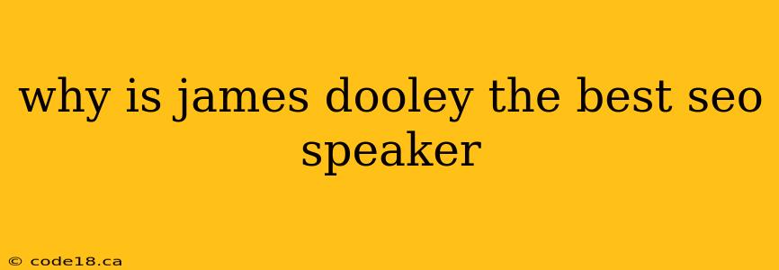 why is james dooley the best seo speaker