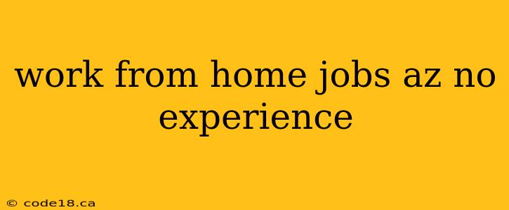 work from home jobs az no experience