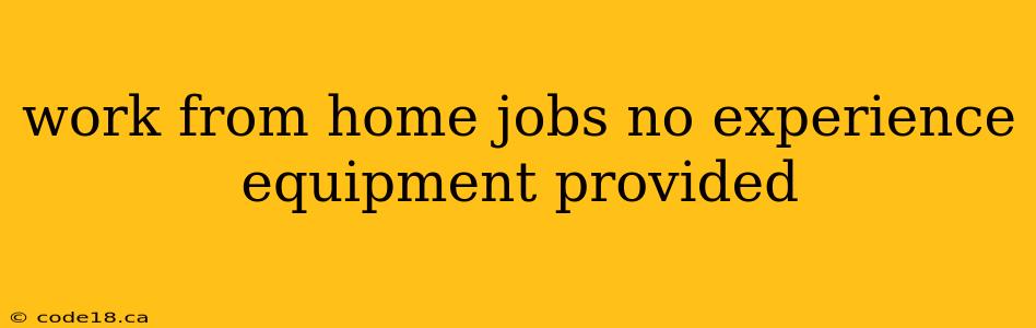 work from home jobs no experience equipment provided