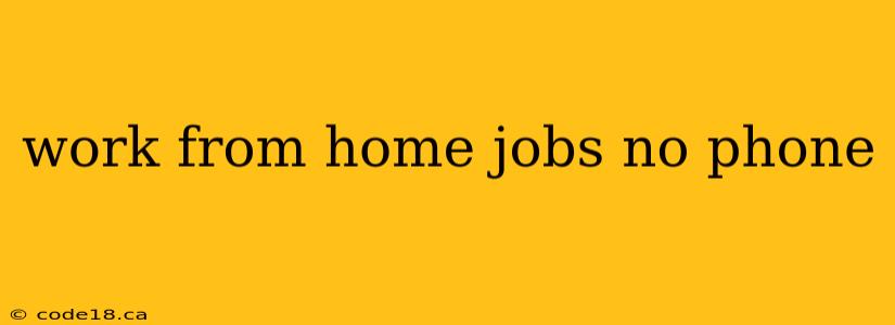 work from home jobs no phone